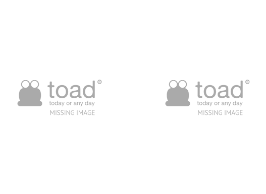 TOAD Designer Format Preview