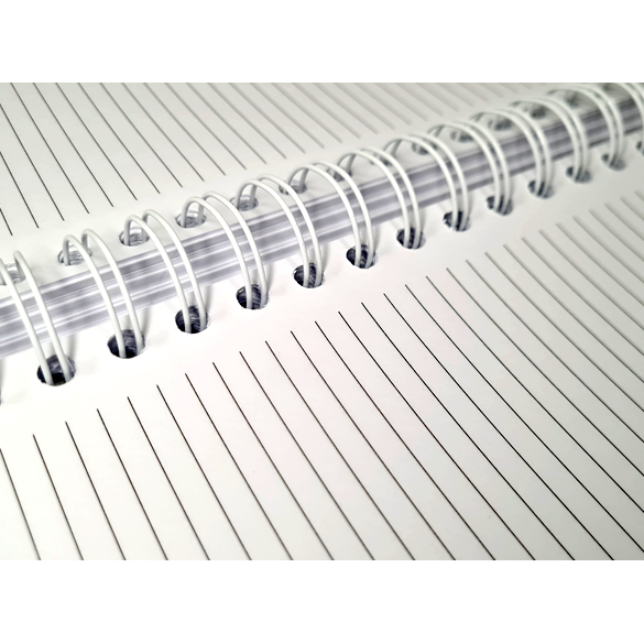 Mid-year acdemic diary with high quality Renz wiro