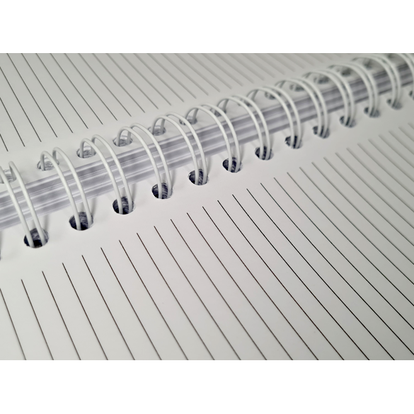 Mid-year acdemic diary with high quality Renz wiro