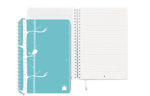 Mixed Format Notebooks