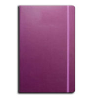 Castelli Notebook - Purple