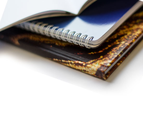 TOAD Essentails Bindings