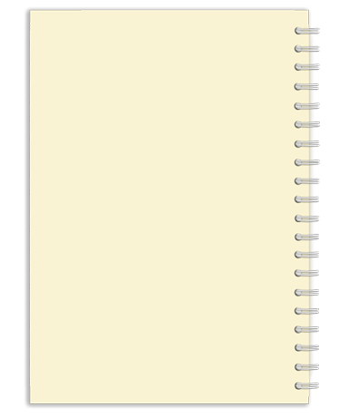 TOAD Designer Back Cover Preview