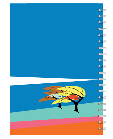 TOAD Designer Back Cover Preview