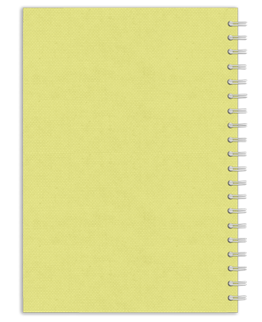 TOAD Designer Back Cover Preview