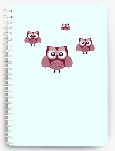 Owls - Owls - Family