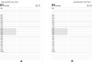Appoinment_Day_View - 1 day-per-page (appointments)